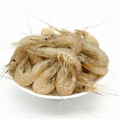  食品飲料 鮮活水產(chǎn)品 魚類 小魚小蝦批發(fā)收購(gòu),蝦批發(fā)市場(chǎng)進(jìn)貨