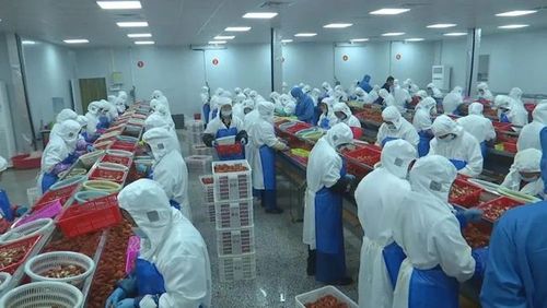 江陵縣蝦兵蟹將食品是一家從事小龍蝦,螃蟹等水產品深加工的