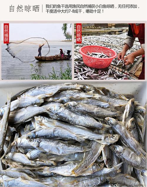 鮮活水產(chǎn)品 魚類 新鮮小白魚批發(fā),白條魚批發(fā)多錢一斤,大量收購(gòu)白條魚