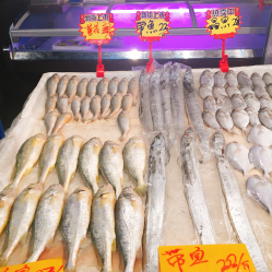 成都農(nóng)產(chǎn)品中心批發(fā)市場海水產(chǎn)交易區(qū)地址,電話,營業(yè)時間-雙流區(qū)生活服務(wù)