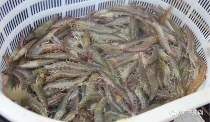 疫情之下,水產(chǎn)品消費疲態(tài)已現(xiàn)!合理出魚,落袋為安