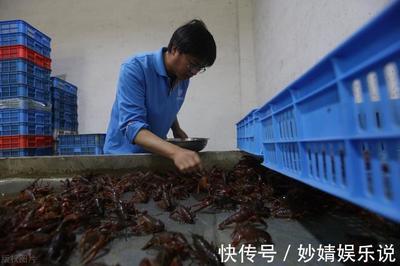 水產品大漲12%:魚價集體"破10",小龍蝦更"瘋"!咋回事