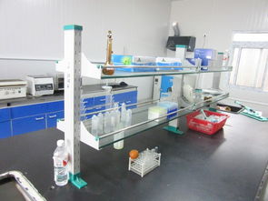 漁公漁業(yè)對(duì)中國(guó)淡水漁業(yè)發(fā)展路徑歷史演變的分析