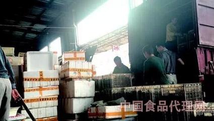 水產(chǎn)市場上有人專門回收死龍蝦,死龍蝦都去哪了?-食品安全-中國食品代理網(wǎng)