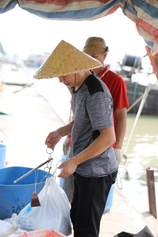 開漁啦!南沙321艘海洋漁船陸續(xù)出海