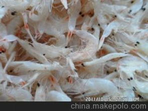 水產(chǎn)品代加工供應(yīng)商,價(jià)格,水產(chǎn)品代加工批發(fā)市場 