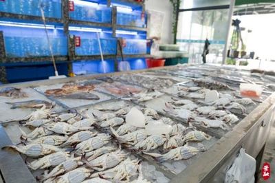 梭子蟹、竹節蝦、方板魚…今年第一網東海海鮮登陸崇明