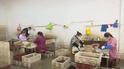 【城市】漢川到上海---自主順風車專區/漢川交通公路建設項目按下“復工鍵”/漢川劉家隔鎮市場監管所助力經營業主有序恢復營業…