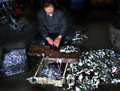 死牛蛙剝皮后變“田雞”