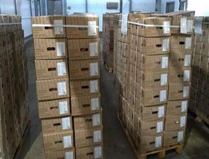 新疆進口哈薩克斯坦牛肉供應商廠號名單