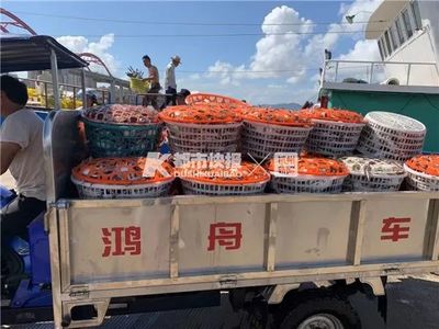昨天中午12點(diǎn),東海蝦兵蟹將瑟瑟發(fā)抖!哪吒?No,吃貨出動(dòng)了!